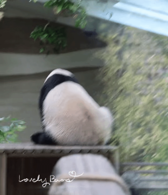 MlEqRt.gif