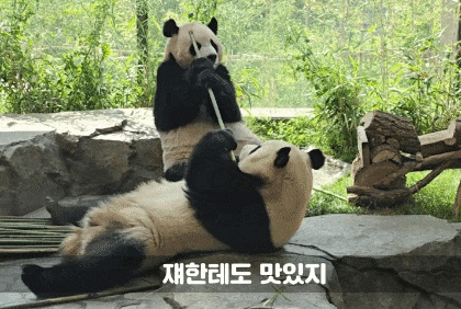 MnKApj.gif