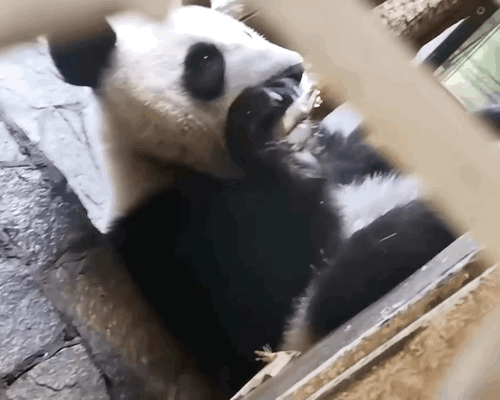 MrkaEo.gif