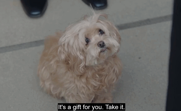 MxnpMN.gif
