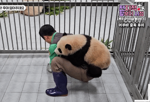 NFtsph.gif