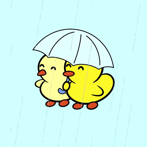 NHXXcf.gif