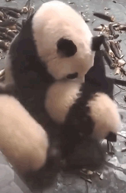 NQkBaw.gif