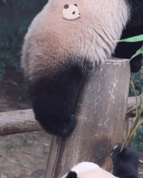 NTqNJa.gif