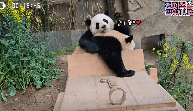 NZUJkT.gif