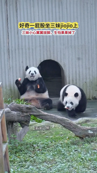 NdNEJU.gif