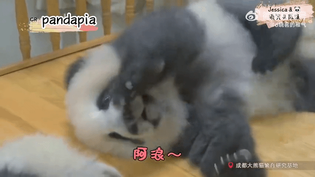 NdaHPu.gif