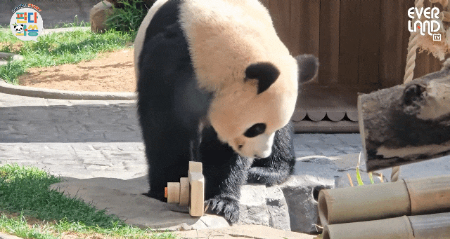 NekhPY.gif