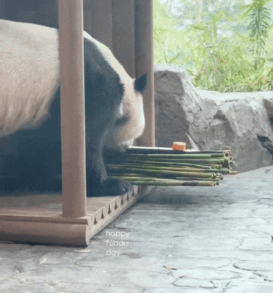 NjcFFA.gif