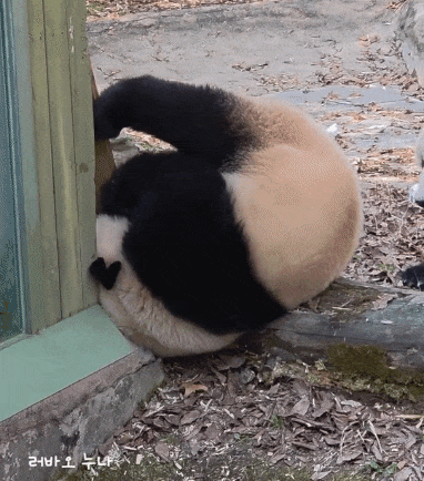 NnhNXH.gif
