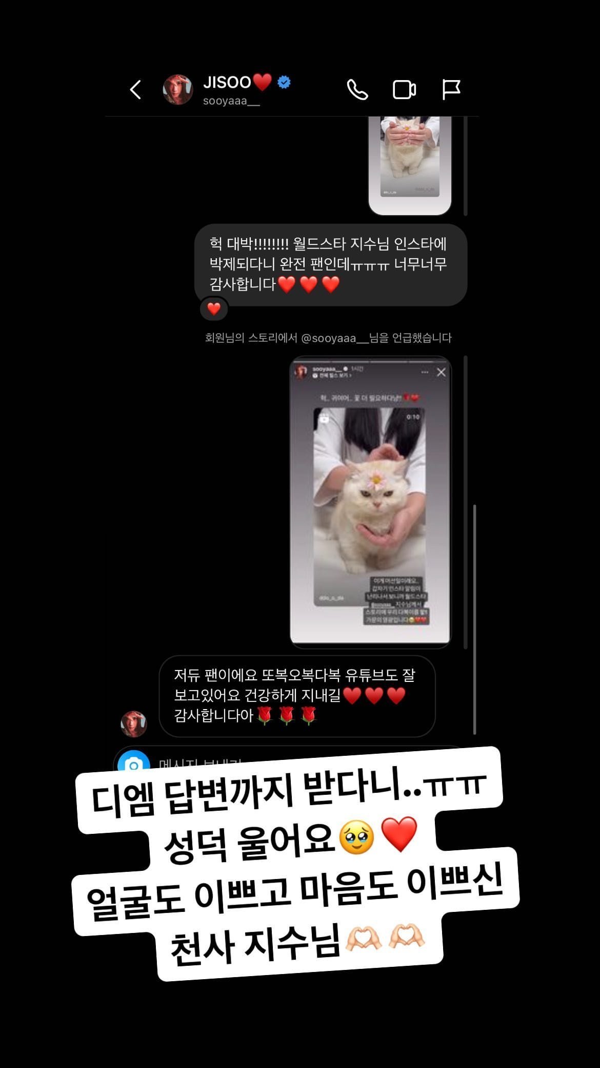 더쿠 - 블핑지수한테 디엠 답장 받은거 부럽다...