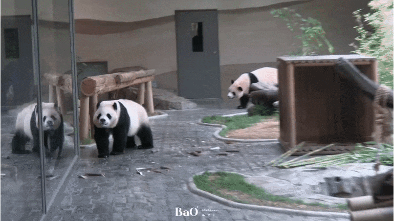 NxBnqC.gif
