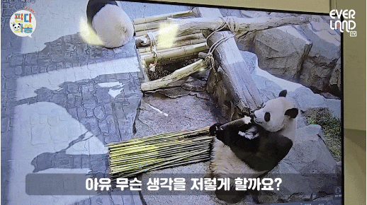 OCAuFA.gif