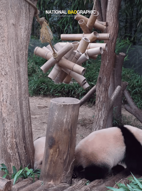 OCNUzW.gif