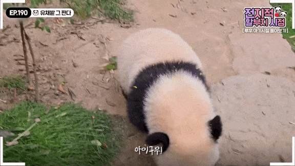 ODngbX.gif