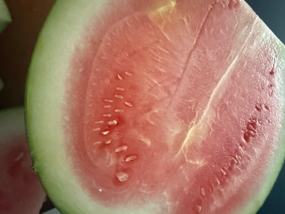 OQJECJ