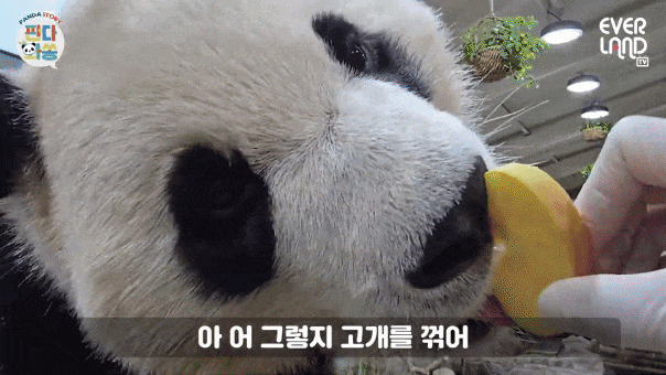 OfiFCX.gif