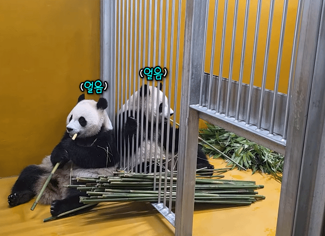 OhVMlm.gif