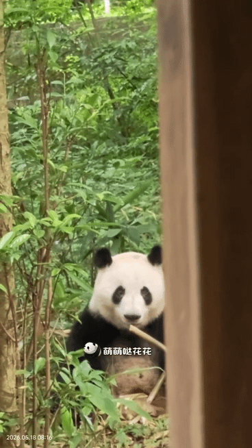 OjLnuE.gif