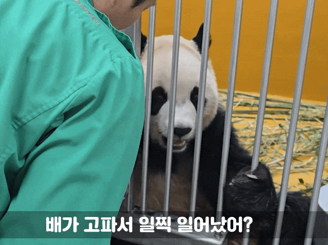 OqYuQE.gif