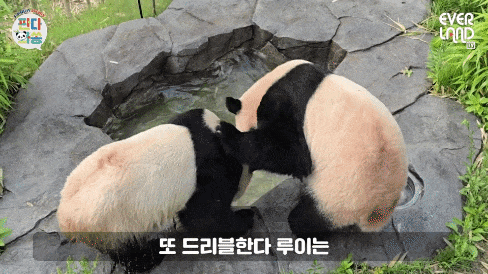 OqrLqA.gif