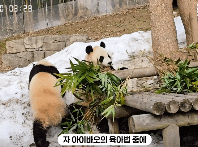 PDhXHC.gif