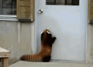 PHKFeP.gif