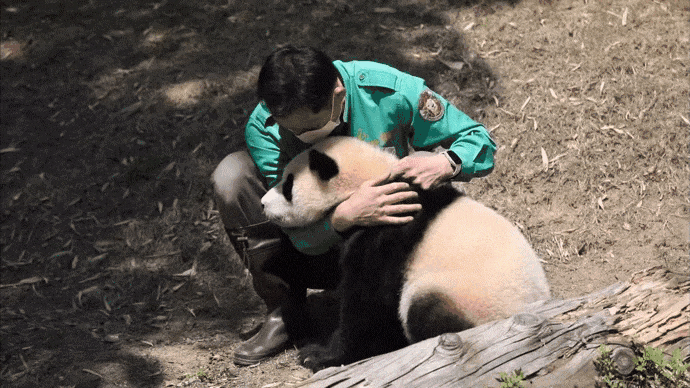 PJuRKN.gif