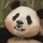 PNwdxJ.gif
