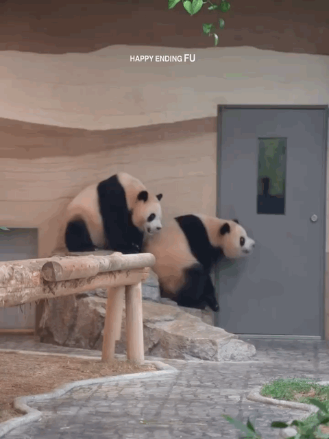 PPMthp.gif