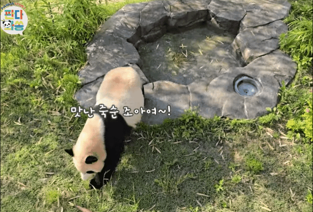 PQtAeb.gif