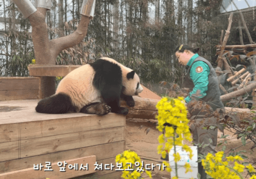 PTeBkW.gif