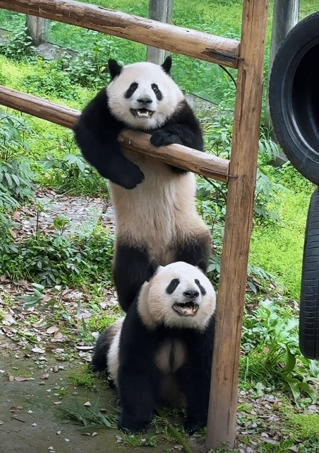 PUQZRy.gif