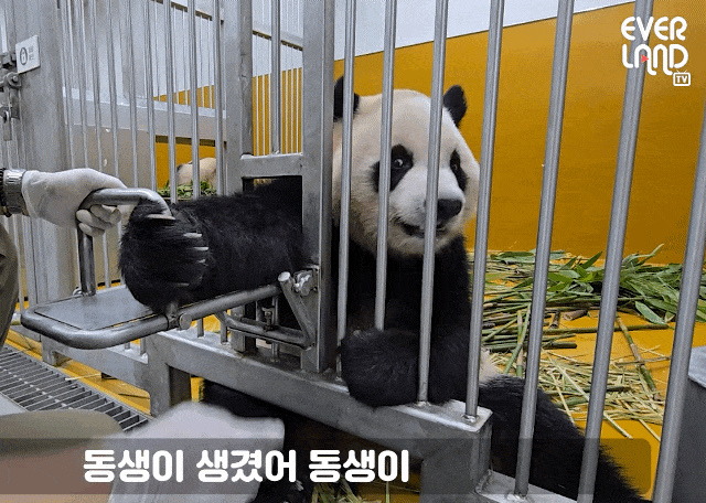 PmHzUu.gif