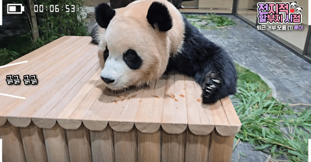 Pxqczr.gif