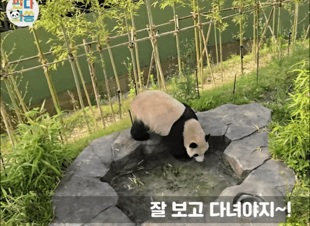 QAGnIG.gif