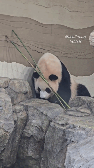 QBqlEB.gif