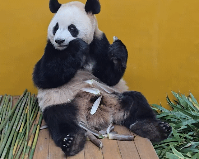 QEOxwU.gif