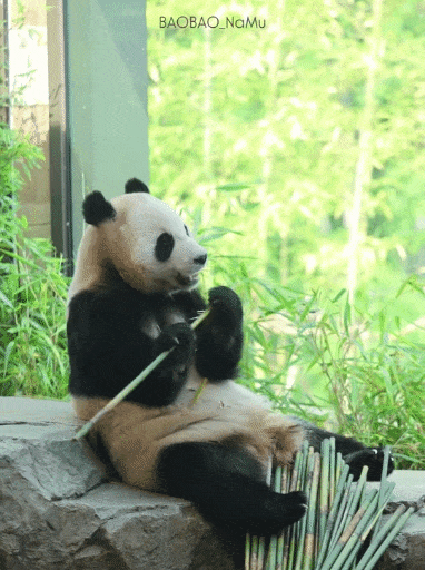 QTavtp.gif