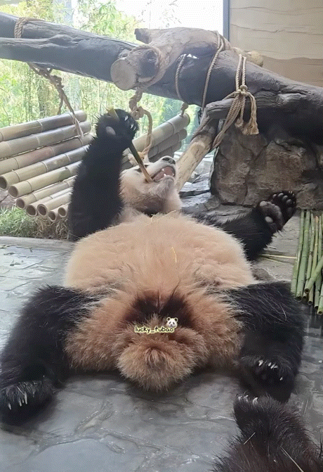 QVRwmh.gif