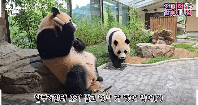 QieyhW.gif