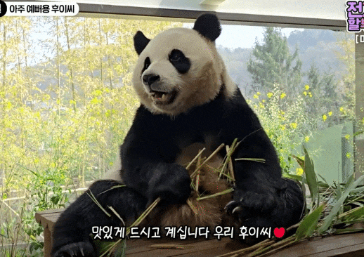 QkPCCI.gif