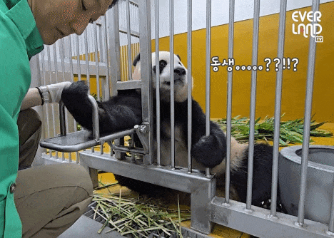 REzmtM.gif