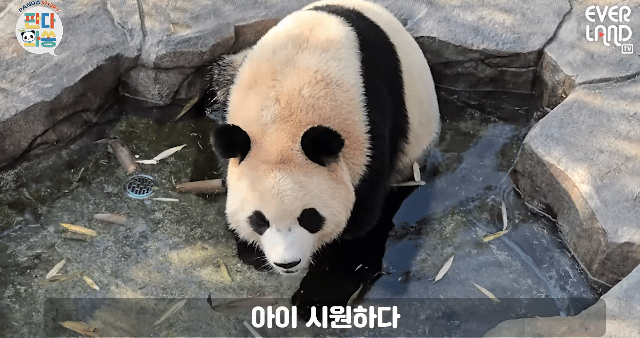 RFmhMu.gif