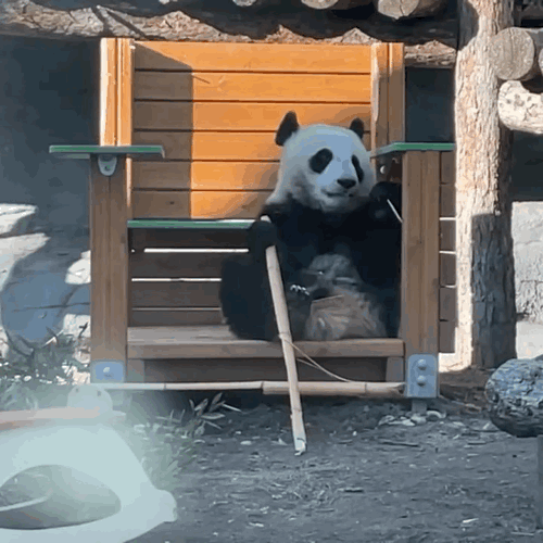 RJHujY.gif