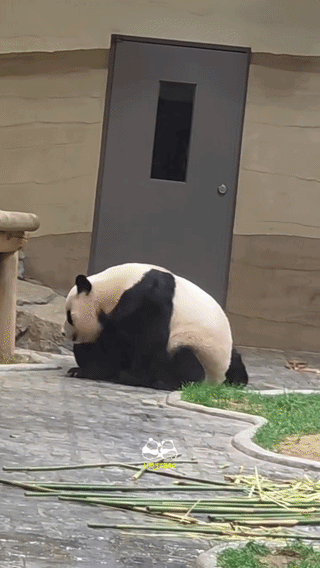 RNqKbS.gif