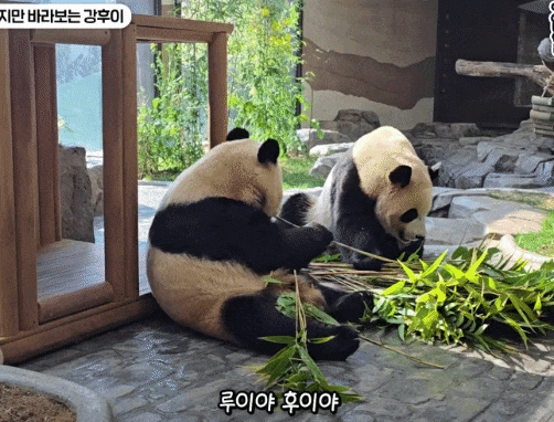 RPmtfq.gif