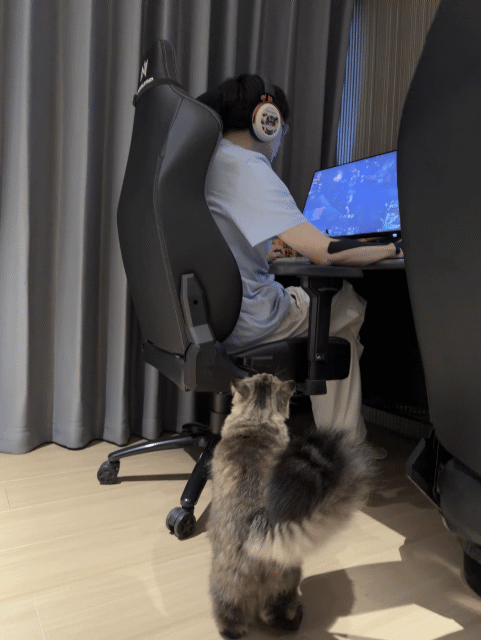 RRSeyg.gif