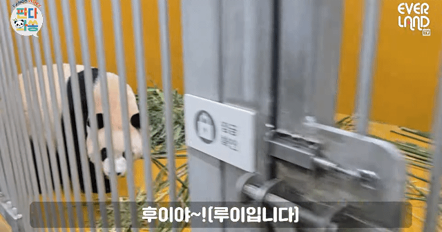 RSQArl.gif