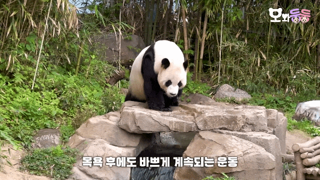 RYrVCb.gif